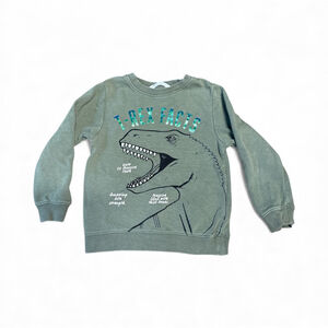 6/20 🎉 H&M Green T-Rex Facts Sweatshirt Kids Size 4-6Y Dinosaur Graphic Pullover